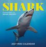 "SHARK" in gelb, "Photographs by BRIAN SKERRY", "2027 MINI CALENDAR". Bild eines Hais im blauen Wasser.