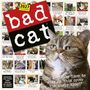 "2027 Calendar" und "bad cat" - große Schrift. Katzenbilder mit humorvollen Sprüchen; prominentes Katzenfoto unten rechts.