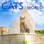 Hannah R Shaw: Cats of the World Wall Calendar 2027, KAL