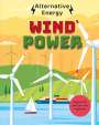 Louise Kay Stewart: Alternative Energy: Wind Power, Buch