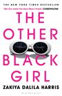Zakiya Dalila Harris: The Other Black Girl, Buch