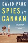 David Park: Spies in Canaan, Buch