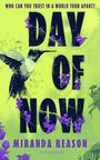 Miranda Reason: Day of Now, Buch
