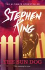 Stephen King: The Sun Dog, Buch