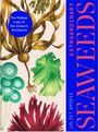 Juliet Brodie: Extraordinary Seaweeds, Buch