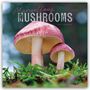 Carousel Calendars: Marvellous Mushrooms Square Wall Calendar 2025, Buch