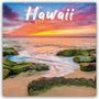 Carousel Calendar: Hawaii 2026 - Wand-Kalender, KAL
