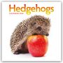 Carousel Calendar: Hedgehogs - Igel 2026 - Wand-Kalender, KAL