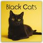 Carousel Calendar: Black Cats - Schwarze Katzen 2025 - Wand-Kalender, KAL