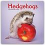 Carousel Calendar: Hedgehogs - Igel 2025 - Wand-Kalender, KAL