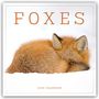 Carousel Calendar: Foxes - Füchse 2025 - Wand-Kalender, KAL