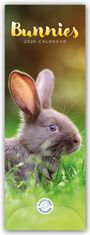 Carousel Calendar: Bunnies - Hasen - Kaninchen 2026 - Slimline-Kalender, KAL
