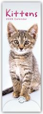 Carousel Calendar: Kittens - Kätzchen - Katzenjunge 2026 - Slimline-Kalender, KAL
