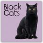 Carousel Calendar: Black Cats - Schwarze Katzen 2026 - Wand-Kalender, KAL