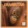 Carousel Calendar: Orangutan - Orang-Utan 2026 - Wand-Kalender, KAL