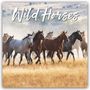 Carousel Calendar: Wild Horses - Wildpferde 2026 - Wand-Kalender, KAL