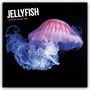 Carousel Calendar: Jellyfish - Quallen 2026 - Wand-Kalender, KAL