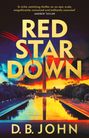 "RED STAR DOWN", Zitat von Andrew Taylor oben. Das Washington Monument und ein farbenfroher Himmel im Hintergrund.