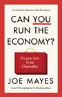 Joe Mayes: Can You Run the Economy?, Buch