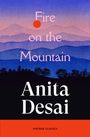 Anita Desai: Fire On The Mountain, Buch