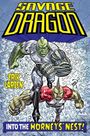 Erik Larsen: Savage Dragon: Into the Hornet's Nest, Buch