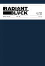 Kyle Higgins: Radiant Black: Massive Edition Book Two, Buch