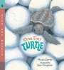 Nicola Davies: One Tiny Turtle, Buch