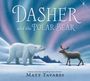 Matt Tavares: Dasher and the Polar Bear, Buch