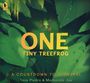 Tony Piedra: One Tiny Treefrog: A Countdown to Survival, Buch
