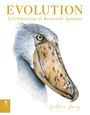 William Spring: Evolution: A Celebration of Beautiful Animals, Buch