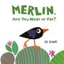 Eva Rasano: Merlin, Are You Near or Far?, Buch