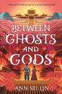 Ann Sei Lin: Between Ghosts and Gods, Buch