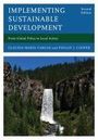 Claudia Maria Vargas: Implementing Sustainable Development, Buch