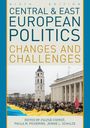 : Central and East European Politics, Buch