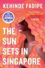 Kehinde Fadipe: The Sun Sets in Singapore, Buch