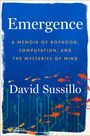 David Sussillo: Emergence, Buch