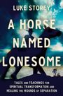 Text: "Luke Storey, A Horse Named Lonesome: Tales and Teachings for Spiritual Transformation and Healing the Wounds of Separation." Silhouette eines Reiters auf einem Pferd vor dramatischem Himmel.