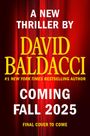 David Baldacci: Nash Falls, Buch