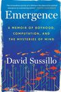 „Emergence: A Memoir of Boyhood, Computation, and the Mysteries of Mind“ von David Sussillo. Blaue Covergestaltung mit Fischen und Schaltkreis-Design.