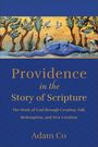 Adam Co: Providence in the Story of Scripture, Buch