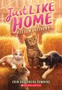 Erin Soderberg Downing: Kitten Delivery (Just Like Home, Book Two), Buch