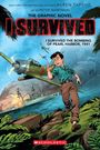 Lauren Tarshis: I Survived the Bombing of Pearl Harbor, 1941 (I Survived Graphic Novel #14), Buch