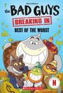 Maria S Barbo: Bad Guys TV Chapter Book #1: Best of the Worst, Buch