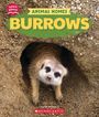 Claire Caprioli: Burrows (Learn About: Animal Homes), Buch