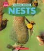 Jay Leslie: Nests (Learn About: Animal Homes), Buch