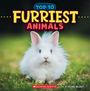 Brenna Maloney: Furriest Animals (Wild World: Top 10), Buch