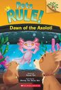 Susan Tan: Dawn of the Axolotl: A Branches Book (Pets Rule! #9), Buch