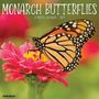 Willow Creek Press: Monarch Butterflies 2024 12 X 12 Wall Calendar, KAL