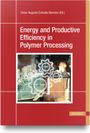 : Energy and Productive Efficiency in Polymer Processing, Buch