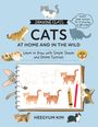 Heegyum Kim: Drawing Class: Cats at Home and in the Wild, Buch